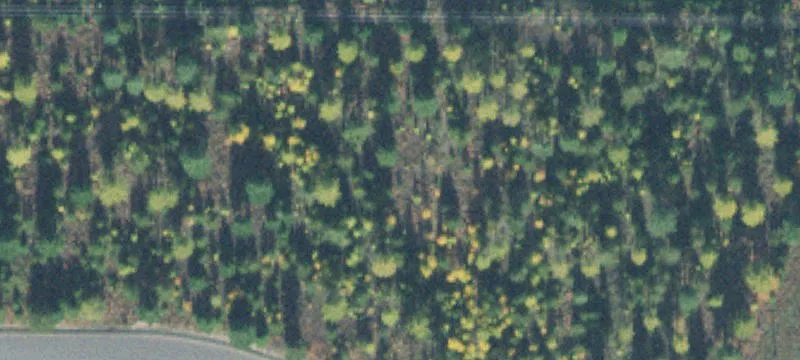 Bonners Ferry, ID 83805