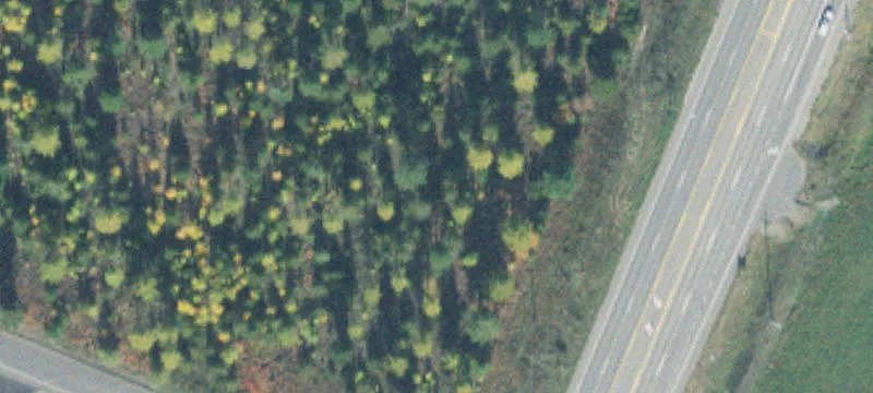 Bonners Ferry, ID 83805