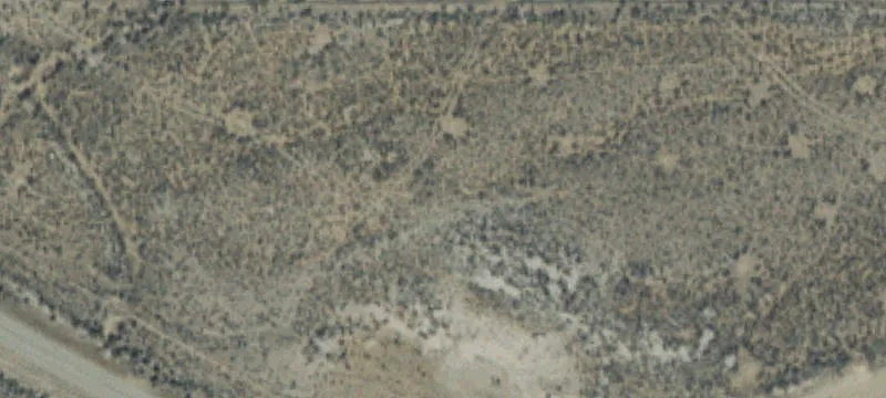 586 Pahsimeroi Rd