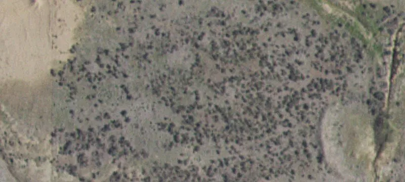 Shoshone, ID 83352
