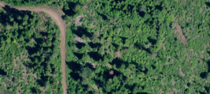 Saint Maries, ID 83861