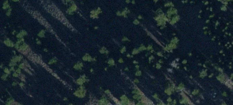 Salmon, ID 83467