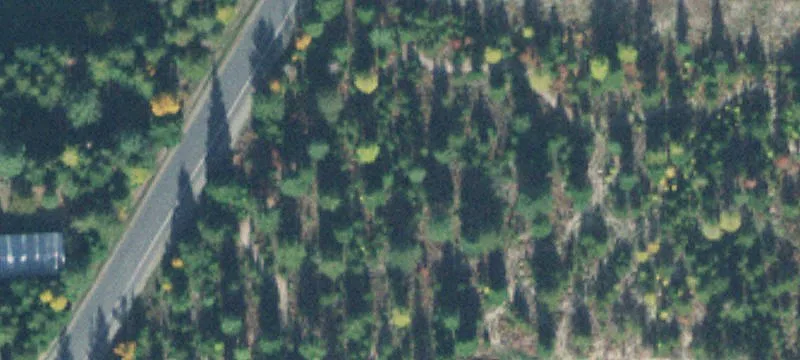 Bonners Ferry, ID 83805