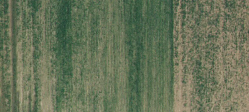 Buhl, ID 83316