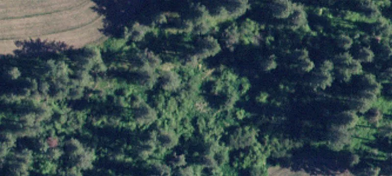 Tensed, ID 83870