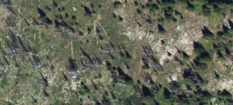 Dixie, ID 83525