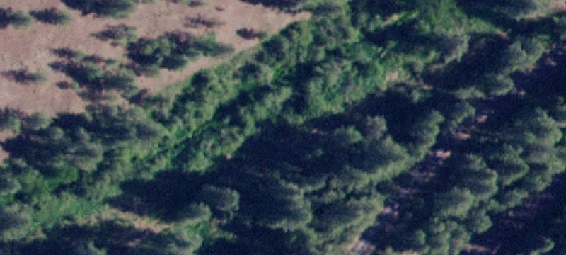 Plummer, ID 83851