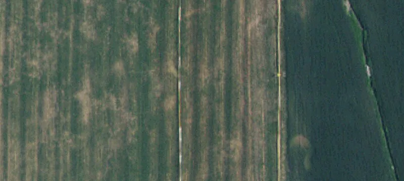 972 Highway 38