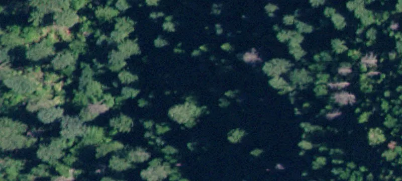 Saint Maries, ID 83861