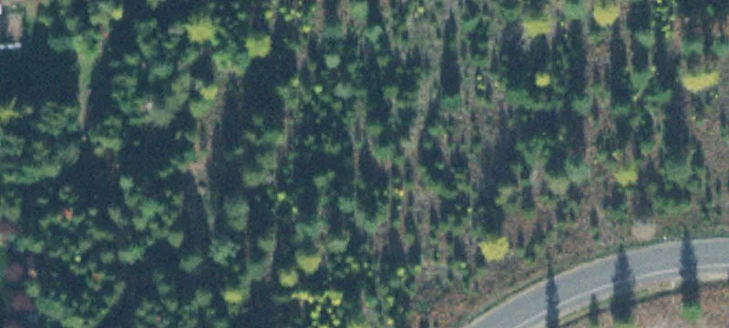 Bonners Ferry, ID 83805