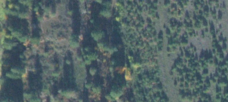 Bonners Ferry, ID 83805