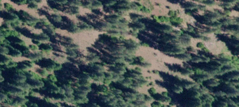 Saint Maries, ID 83861