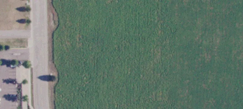 779 Clearwater Loop