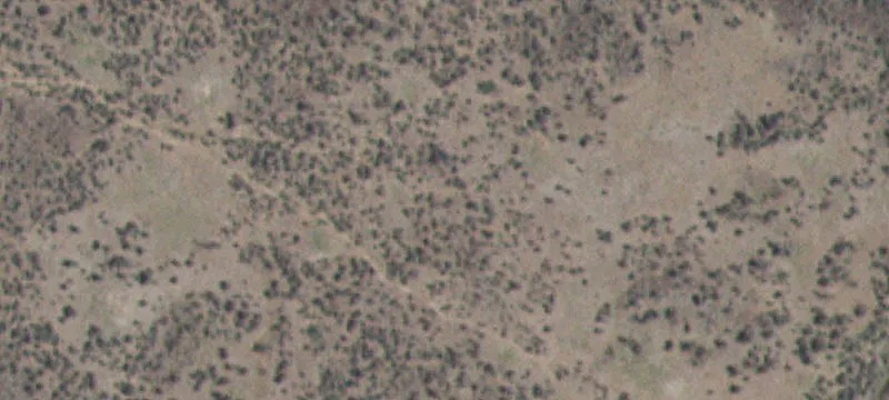 Shoshone, ID 83352