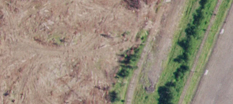 Clarkia, ID 83812