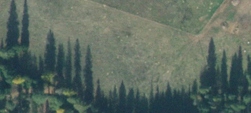 49516 Hwy 95