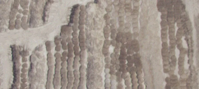 Paul, ID 83347