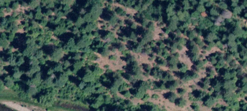 295 Patterson Rd