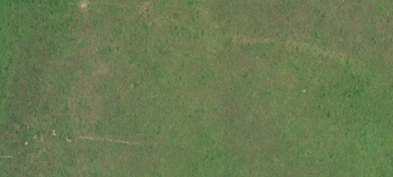 10246 Highway 55