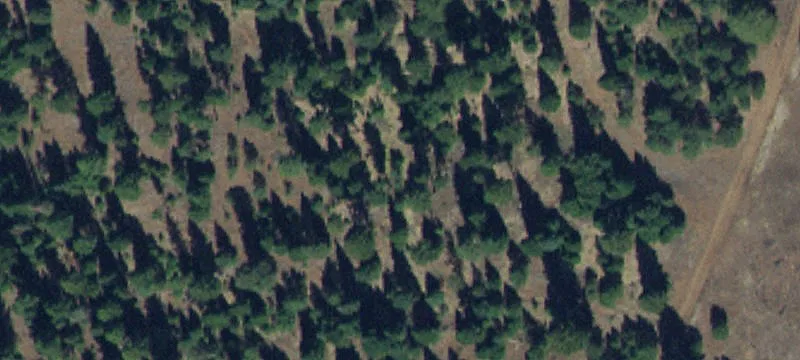 3205 Mtn Rd