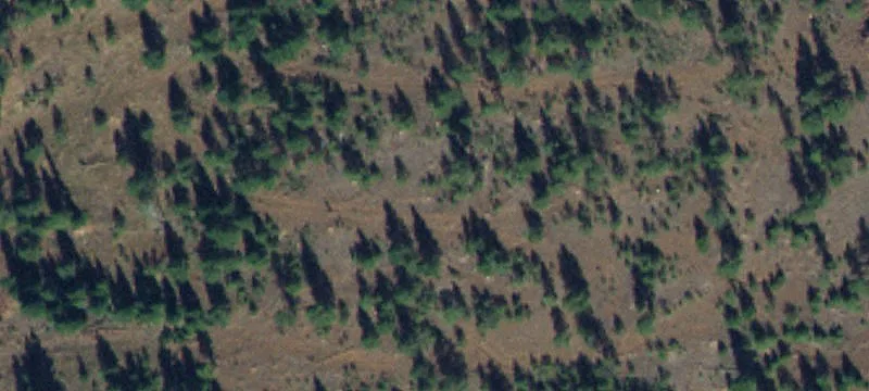 Mccall, ID 83638