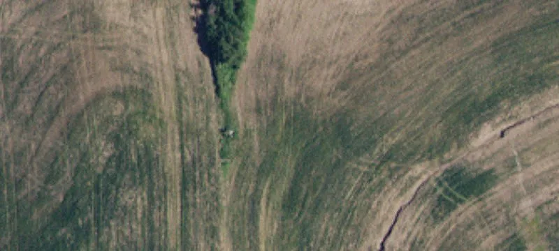 Moscow, ID 83843