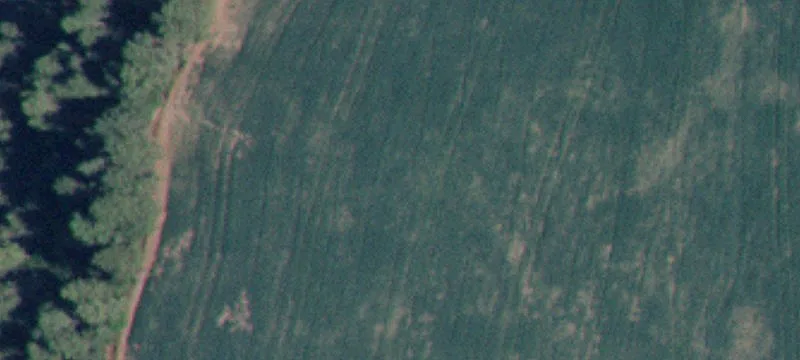 5590 Hwy 95