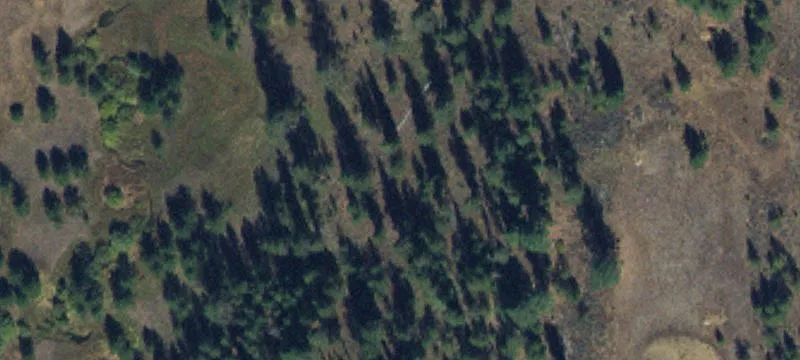 3492 Hwy 55