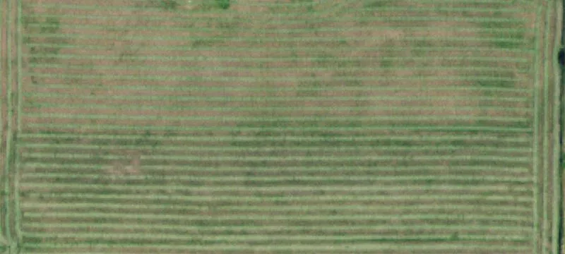 50 Nn E