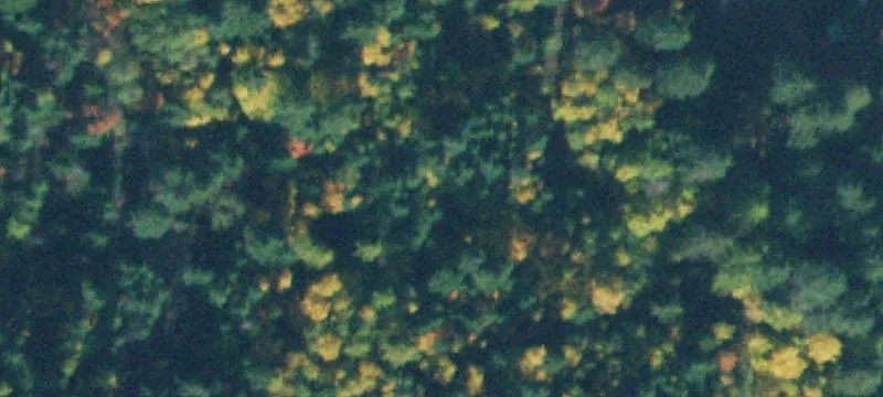 Sagle, ID 83860