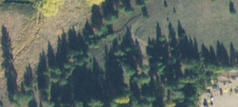 441 Shannon Ln