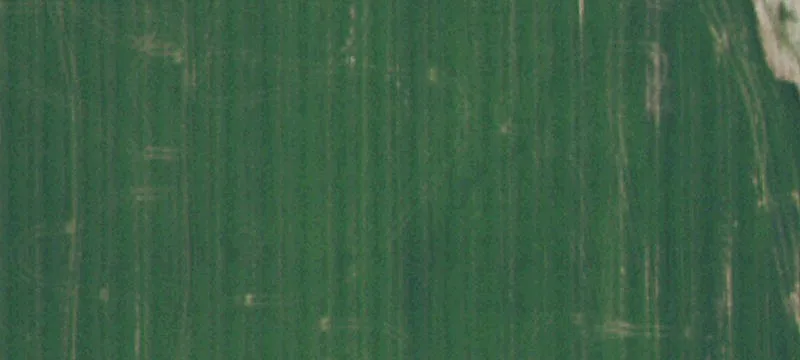 Burley, ID 83318
