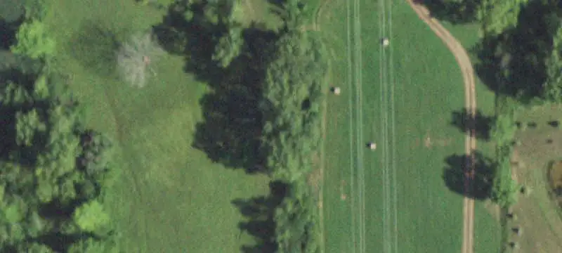 1900 Spg Rd