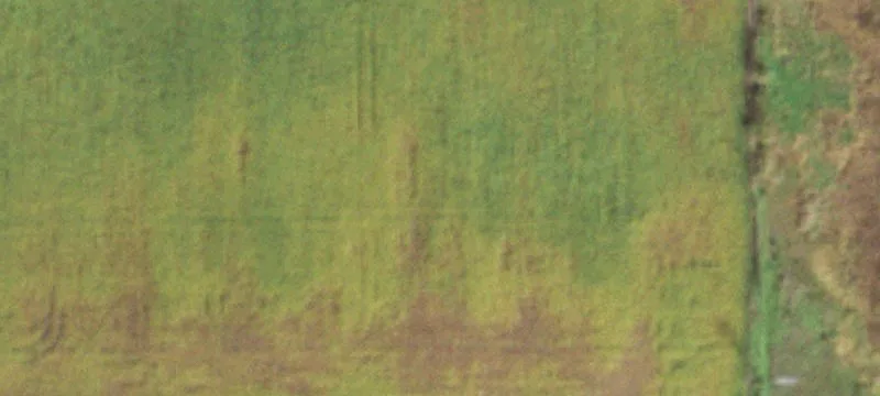 Preserve Rd