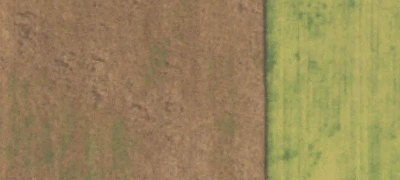 Gifford, IL 61847