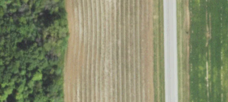 984 State Hwy 32