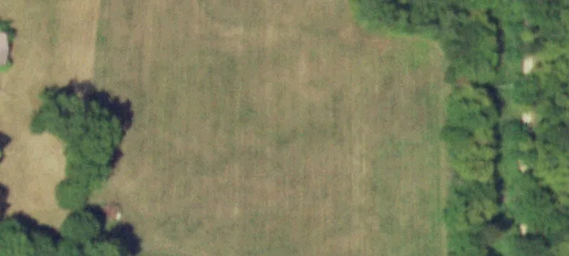 Polo, IL 61064