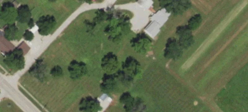 Farina, IL 62838