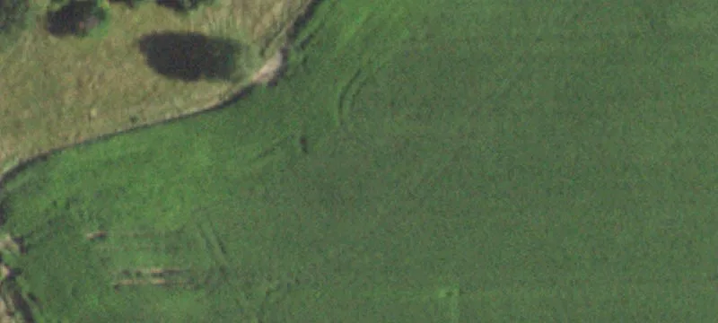 Dixon, IL 61021