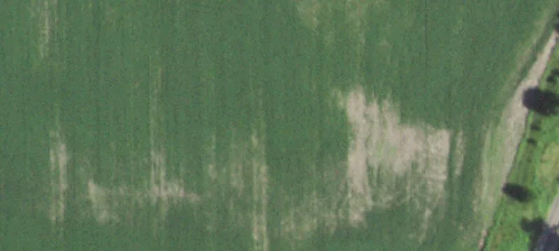 Elwood, IL 60421