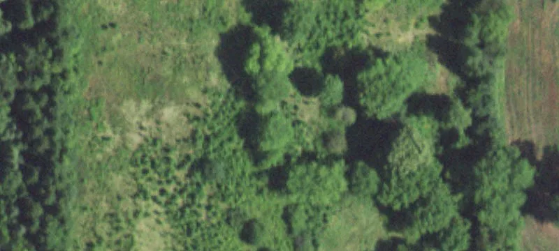19075 Sand Lk Rd