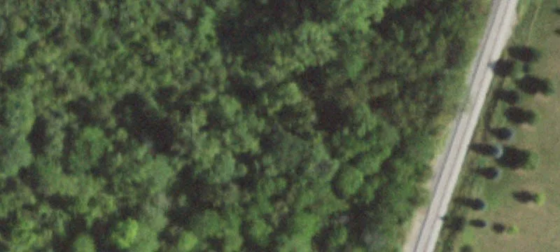 17001 Wolf Rd