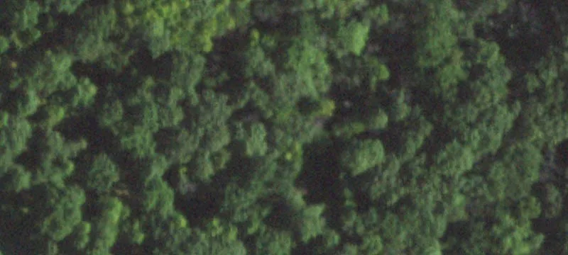 1200 Saunders Rd