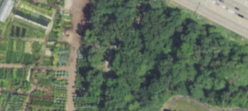 20782 Rand Rd