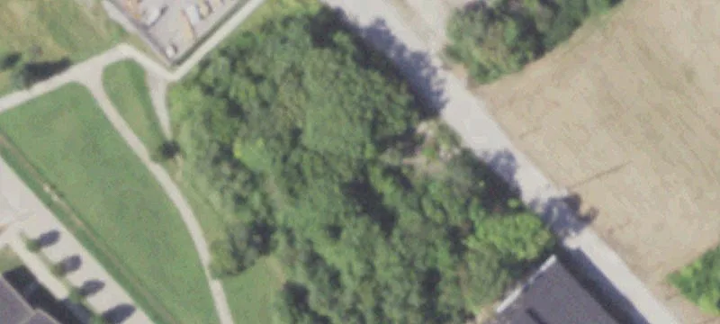 6 Walnut Ave