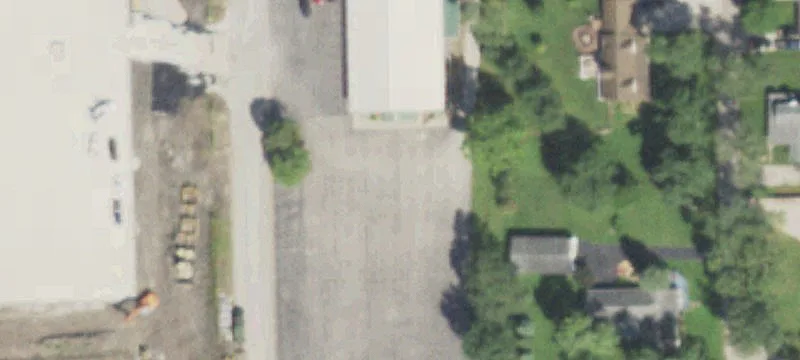55 Daley St