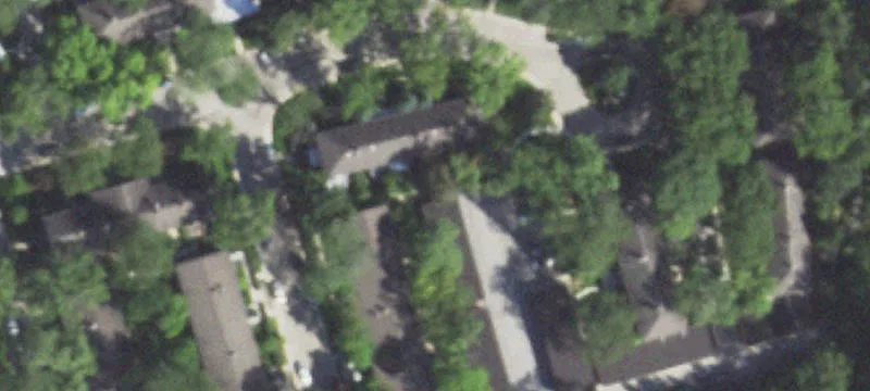 1539 Palmgren Dr