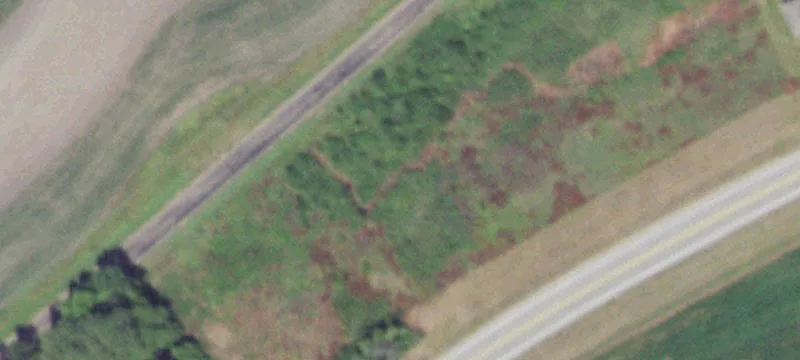 Bass Rd
