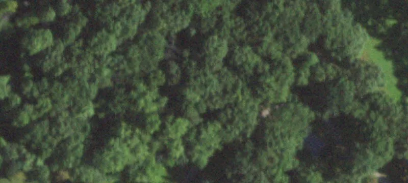 1200 Saunders Rd