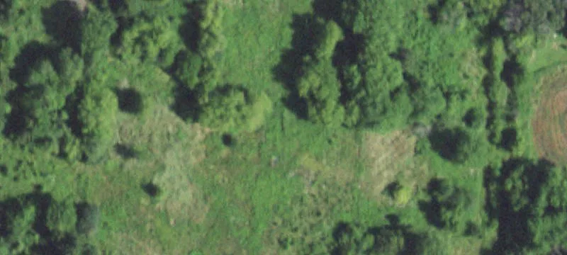 19123 Sand Lk Rd